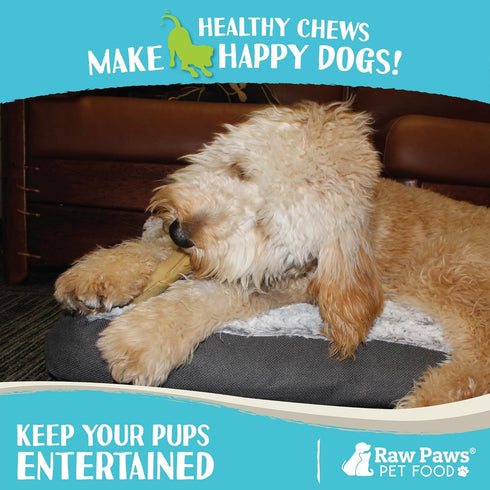 Raw Paws 5-inch Compressed Rawhide Rolls for Dogs, 20-ct, Natural Chew Sticks for Puppies & Small Dogs, Packed in USA