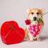 Romantic Heart Pattern Bandana for Dogs and Cats - Perfect for Valentine's Day