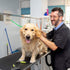 Jelly Pet Grooming Loop for Dogs, Waterproof & Durable Noose Loop, Fits Most Grooming Tubs/Tables, 3/8" x 18’’ and 24"