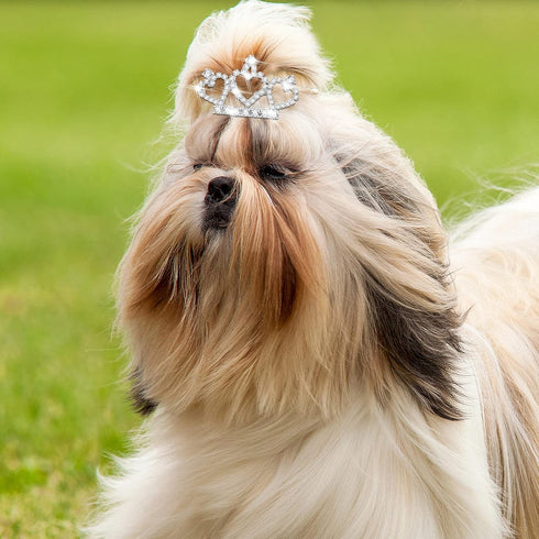 9 Pieces Dog Tiara Crown Hair Clips, Pet Crystal Rhinestone Barrette Clips for Dog Grooming Accessories