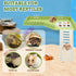 Simaixing Hermit Crab Platform with Ladder and Food Dish Hermit Crab Climbing Toys for Habitat Hermit Crab Supplies