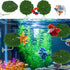 Xinjoduz 3 Pack Hammock (2.56 Inches) Xindojuz Betta Fish Toys, Plastic Betta Bed Leaf for Fish Tank Decorations, Safe