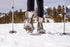 Yukon Charlie's Large Snow Baskets Trekking Pole Accessory, Includes 2 Baskets
