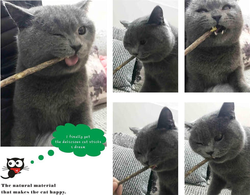 Silvervine Sticks Cat Toys - Natural Matatabi Catnip Chew Sticks for Teeth Cleaning (26 PCS)