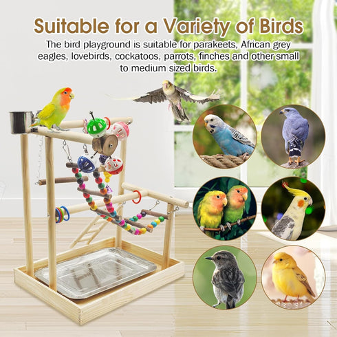 PINVNBY Bird Playground Parrot Playstand Play Gym Cockatiel Wood Bird Toys Birds Cage Accessories Playpen Ladder