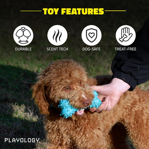 Playology Puppy Teething Bone - Chew Toy with Squeaker for Puppies 4-8 Months (Up to 60lbs)