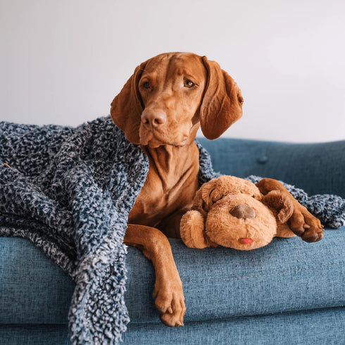 Original Snuggle Puppy Toys - Heartbeat Puppy for Dogs, Pet Anxiety Relief and Calming Aid