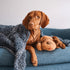 Original Snuggle Puppy Toys - Heartbeat Puppy for Dogs, Pet Anxiety Relief and Calming Aid