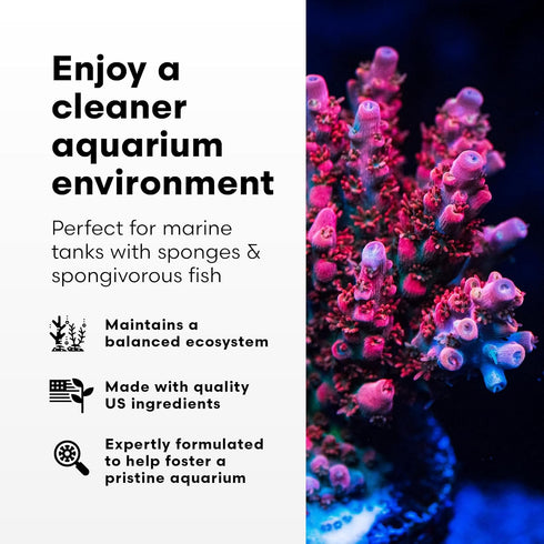 Brightwell Aquatics SpongExcel – Ionic Silica Solution for Marine Aquariums, 125 ml