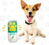 Hound Noon - Two Pack Plush Squeaky Dog Toys, Funny Drink Parody, Cute Dog Birthday Toy, Beer Dog Toy
