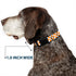 Buckle-Down Plastic Clip Collar - Checker White/TN Orange, 1" Wide, Fits 15-26" Neck