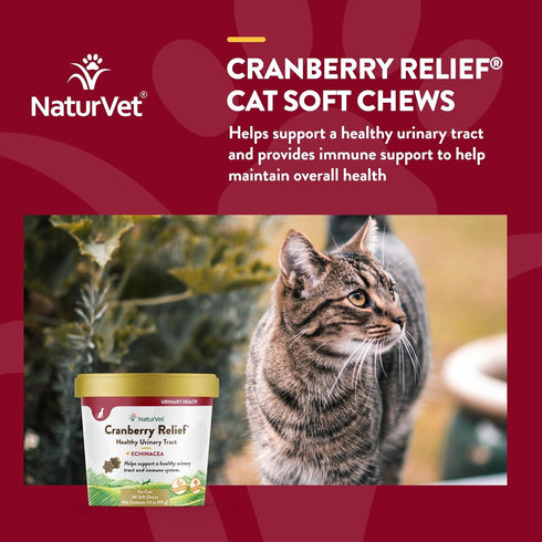 NaturVet Cranberry Relief Plus Echinacea for Cats - 60 ct Soft Chews, Made in The USA