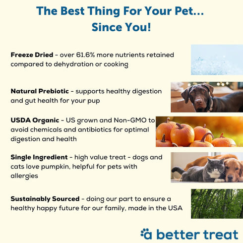 A Better Treat – Freeze Dried Organic Pumpkin Dog and Cat Treats, Healthy Single Ingredient Made in USA
