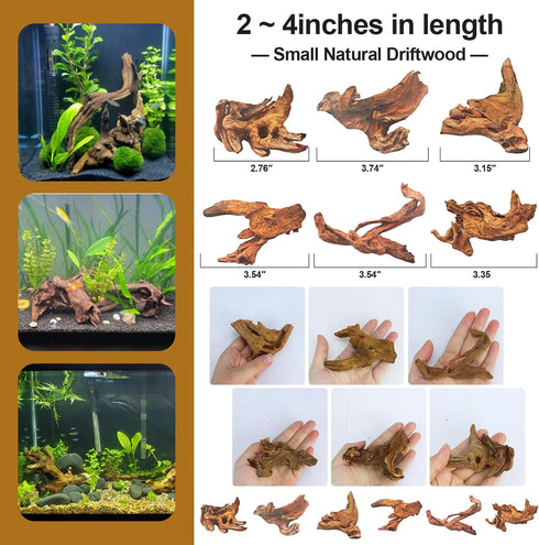FUNOJOY Assorted Natural Driftwood Decor for Aquarium and Reptile Tank Accessories, 2-10" Wood Branches (Pack of 6)