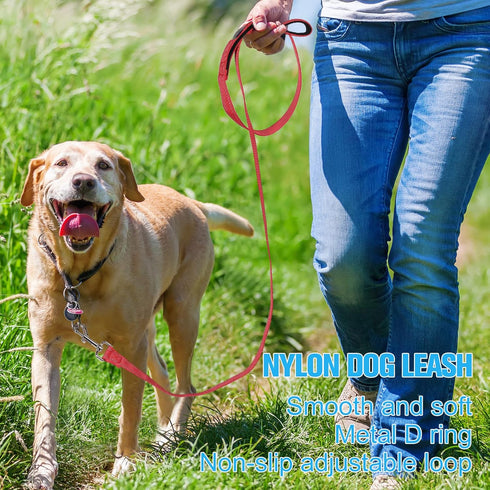 6 Pieces Double Sided Reflective Dog Leash - Nylon Leashes for Medium and Large Dogs, Heavy Duty Padded Handle