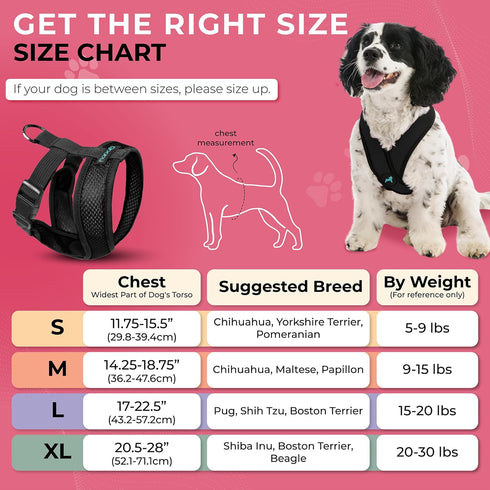 Gooby Comfort X Head in Harness, Black, Small - No Pull Dog Harness for Medium & Small Dogs