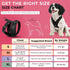 Gooby Comfort X Head in Harness, Black, Small - No Pull Dog Harness for Medium & Small Dogs