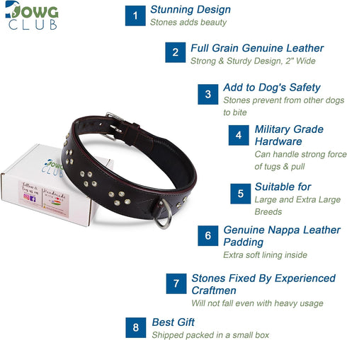 Genuine Leather ‘Cupola’ Series Dog Collar, Rhinestone, Soft Cushion Padding, Handmade (M, Neck Size 14.5"-18.5",