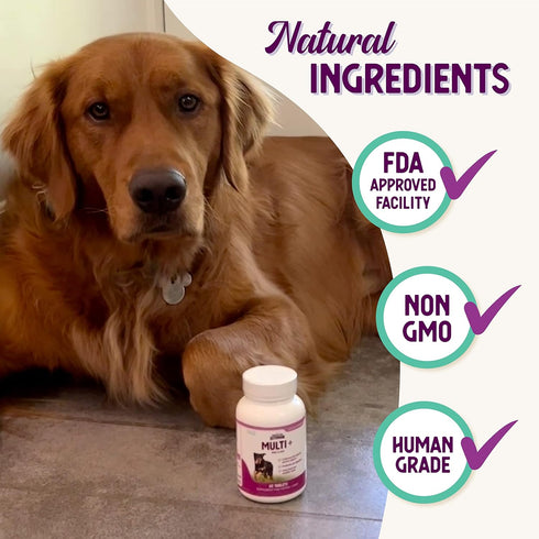 Health Extension Multivitamin & Minerals for Dogs & Puppies, 30 Tablets, Supports Immune System & Digestion