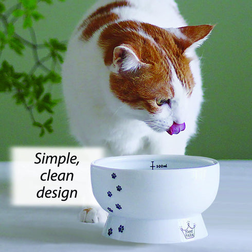 Necoichi Raised Cat Water Bowl, Elevated with Measurement Lines, Dishwasher and Microwave Safe, Regular Size