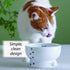 Necoichi Raised Cat Water Bowl, Elevated with Measurement Lines, Dishwasher and Microwave Safe, Regular Size