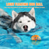 Indestructible Dog Balls - Tennis Balls for Aggressive Chewers - Safe for All Dog Sizes - Training Fetch Toys