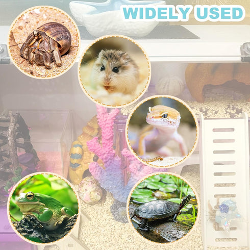 Hermit Crab Accessories - Platform with Ladder and Food Dish, Hermit Crab Climbing Toys, Habitat Supplies and Tank