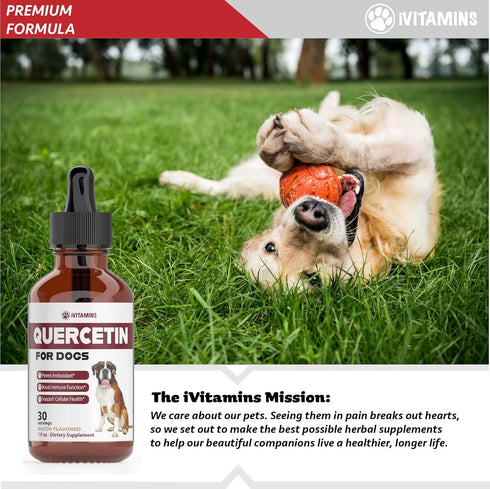 Quercetin for Dogs - Allergy Relief Support, Bacon Flavor, 1 Pack of Quercetin Supplements for Dog Allergies