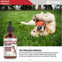 Quercetin for Dogs - Allergy Relief Support, Bacon Flavor, 1 Pack of Quercetin Supplements for Dog Allergies