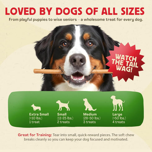 2 100% Chewmasters Organic Chicken & Brown Rice Dog Treats, Pound Bag, Organic, Made in The USA, Corn, Soy & Wheat