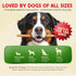 2 100% Chewmasters Organic Chicken & Brown Rice Dog Treats, Pound Bag, Organic, Made in The USA, Corn, Soy & Wheat