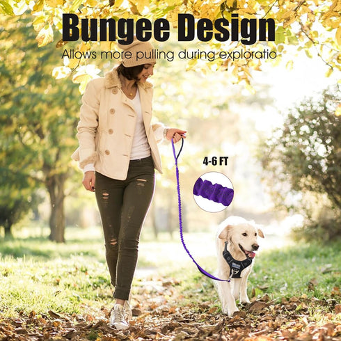BUMBIN 6Ft Dog Leash for Large Dogs, Bungee Leash with 2 Handles, Heavy Duty for Medium Small Dogs, No Pull, Purple