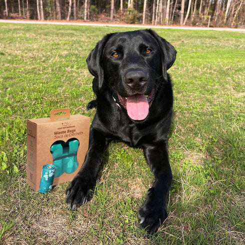 240 Best Pet Supplies Dog Poop Bags for Waste Refuse Cleanup, Doggy Roll Replacements for Outdoor Puppy Walking