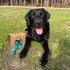240 Best Pet Supplies Dog Poop Bags for Waste Refuse Cleanup, Doggy Roll Replacements for Outdoor Puppy Walking