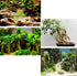 Unocho Dragon Stone Rock - 10 LB Aquariums Decoration for Aquascaping and Landscaping