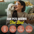 etta says! Crunchy Premium Dog Chews, 4.5" Buffalo Dog Chews - Made in The USA, Grain-Free, 36 Count