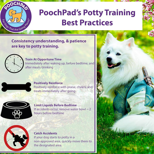 Potty Training Attractant Spray for Dogs & Puppies: 16 oz, Indoor & Outdoor Use, Housebreaking Supplies