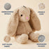 15-Inch Pet Lou Rabbit Dog Squeak Toys, Durable Plush with Crinkle Interactive Dog Toy, Not for Heavy Aggressive