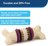 PetSafe Busy Buddy Bristle Bone, Treat-Holding Toy for Dogs, Treat Rings Included, Purple, Medium