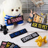 8 Pieces Colorful Service Dog Patches, Do Not Pet and Ask to Pet Vest Patches for Animal Tactical Harnesses