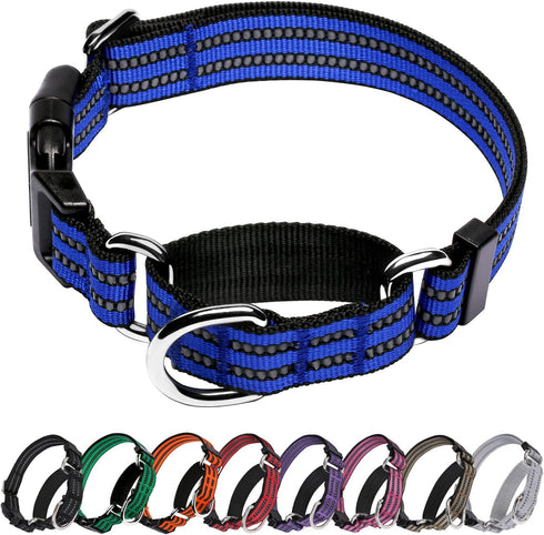 Martingale Collar for Dogs, Reflective Nylon with Quick Release Buckle, Adjustable No Slip Training Collar (Small, Blue)