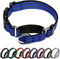 Martingale Collar for Dogs, Reflective Nylon with Quick Release Buckle, Adjustable No Slip Training Collar (Small, Blue)