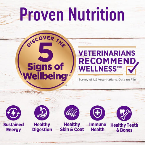 Wellness Complete Health Dry Puppy Food - Chicken, Salmon & Oatmeal, 5-Pound Bag