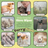 Pet Glove Wipes for Dog & Cat Cleaning, 30 Gloves, Hypoallergenic Dry Bath for Puppy, Kitten, and Coat Care