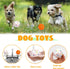 2 Pack 3'' Durable Dog Balls for Aggressive Chewers, Indestructible Floating Balls for Training Fetch
