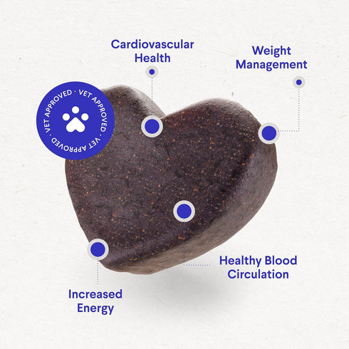 Q10 90 Wonder Paws Cardio Support for Dogs Cardiovascular Chews Heart Health, Circulation, Energy & Weight Management