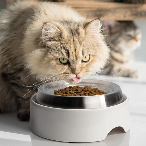 CatGuru Cat Bowls, Whisker Stress Free Food Bowl, Non-Slip Shallow Dish for Feeding & Watering Supplies, Stainless Steel