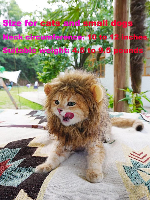 Lion Mane Wig for Cat Costume, Adjustable Washable Fancy Hair Dress for Halloween, Christmas, Easter (Brown)