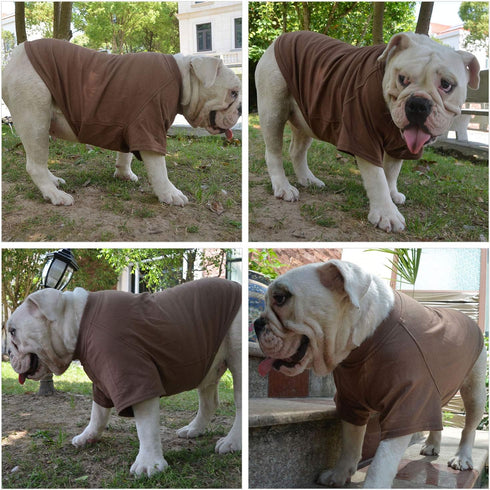 Lovelonglong 100% Cotton Bulldog Clothes Blank T-Shirt for French Bulldog, English Bulldog, American Pit Bull, Pugs