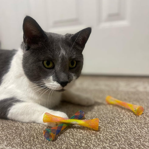 SPOT Kitty Fun Tubes Cat Toy | Interactive Bouncy Toy with Catnip for Cats and Kittens | 3 Pieces